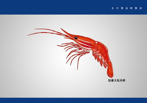 大連平面設(shè)計(jì)與動(dòng)畫制作中如何應(yīng)對思路打斷的困擾
